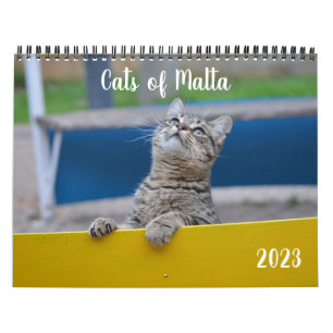 Chats de Malte - Calendrier 2023