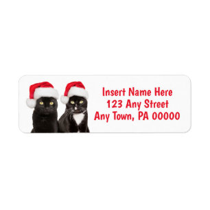 Chats de Noël à Santa Hats