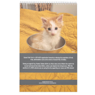 Chats de Sunset Park | Calendrier 2026 | Chatons
