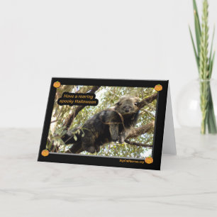 Chats d'ours et carte de Binturong Halloween