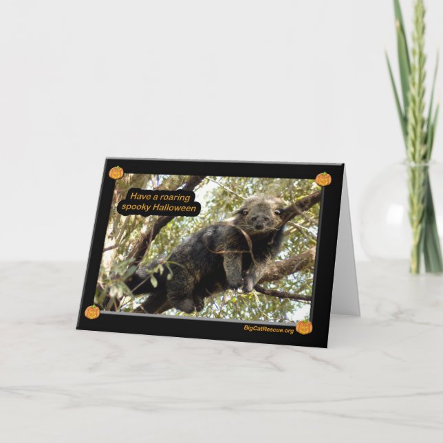 Chats d'ours et carte de Binturong Halloween (Devant)
