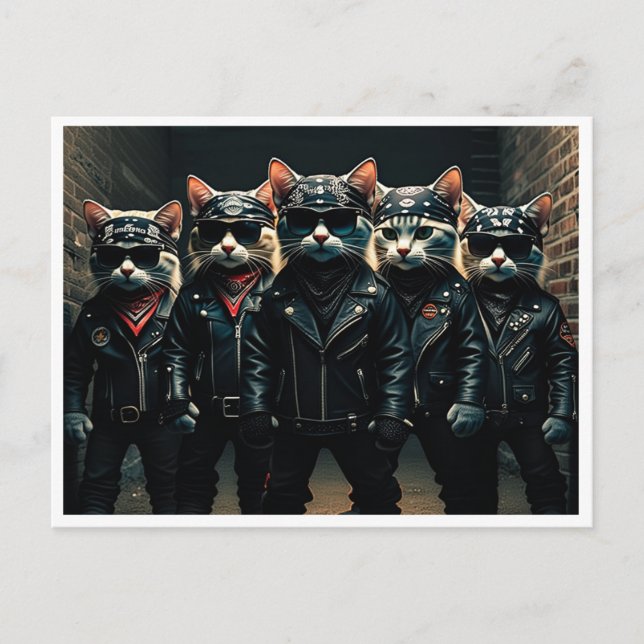 Chats drôles. Carte postale (Devant)