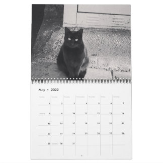 Chats du calendrier ISTANBUL