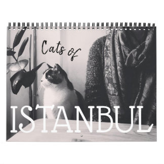 Chats du calendrier ISTANBUL