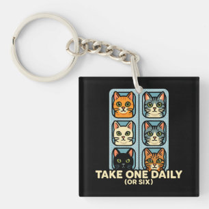 Chats En Blister Pack Medicine Pour Le Bonheur