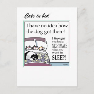 Chats en carte de lit