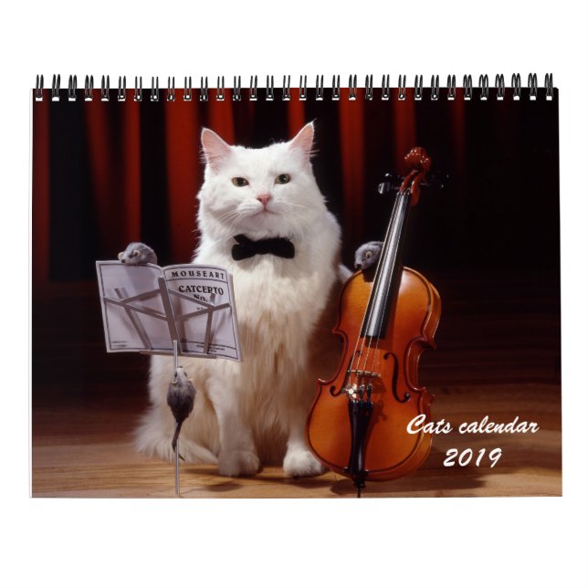 Chats et calendrier 2019 de chaton (Dos)