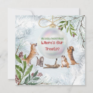 Chats et chiens de Noël amusants : carte de mignon