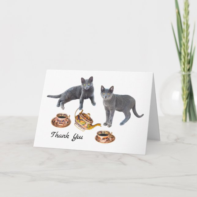 Chats gris avec Carte de remerciements de thé (Devant)