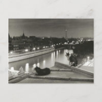 Chats la nuit - Paris - 1954 - Robert Doisneau