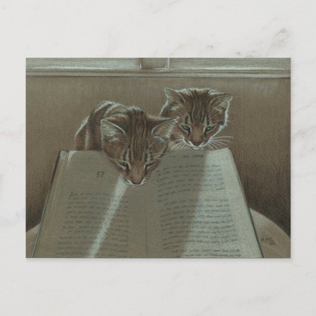 Chats m'aidant à lire la carte postale du livre (Devant)