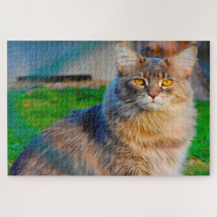Chats Maine Coon. Puzzle
