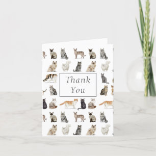 Chats Merci aquarelle