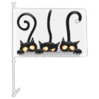 Chats Naughty, Playful et drôle de personnages