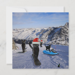 Chats Noirs Sur Snowboards Carte de voeux pliée