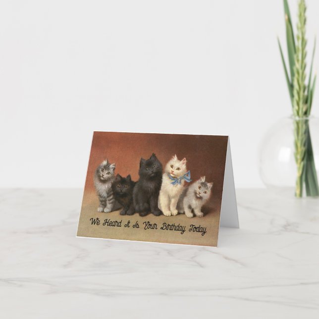 Chats Parfaitement Merveilleux Carte de voeux d'an (Devant)