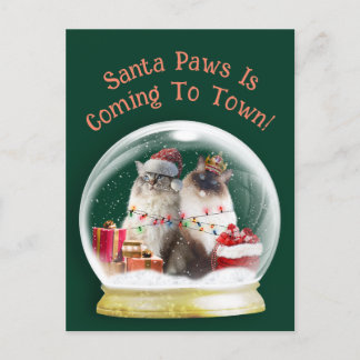 Chats Ragdoll dans le monde des neiges Carte de vo