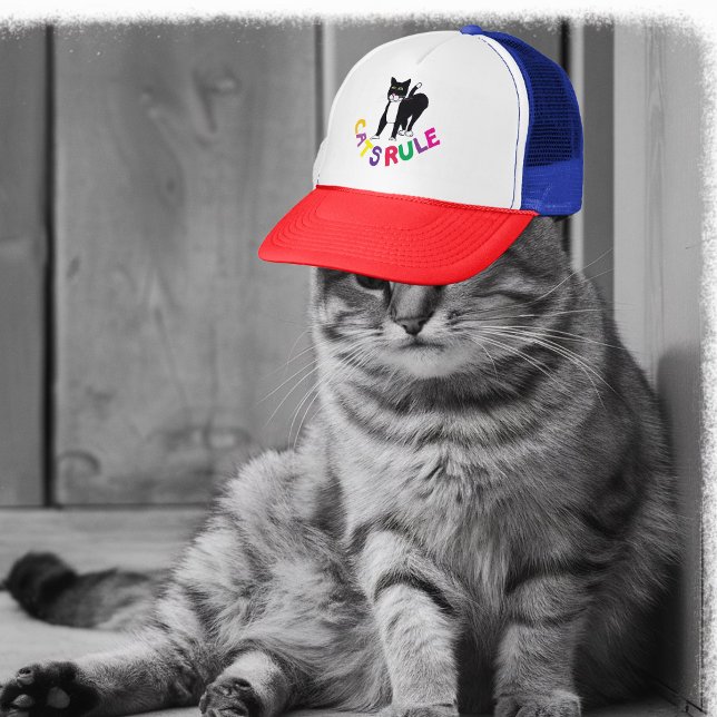 chats règle camionneurs casquette amoureux des cha (Créateur téléchargé)