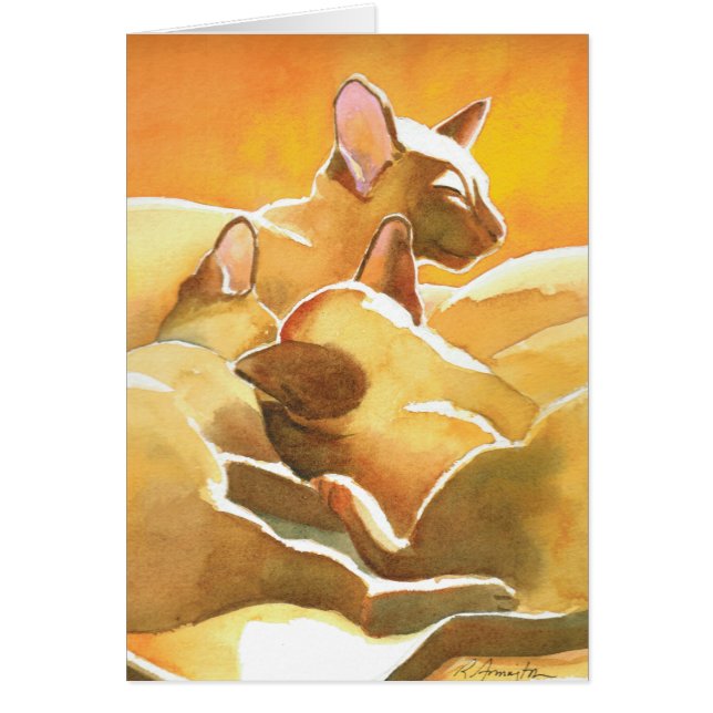 Chats siamois Sunshine (Devant)