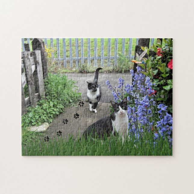 Chats Tuxedo Noir dans le Jardin Jigsaw Puzzle Puz (Horizontal)