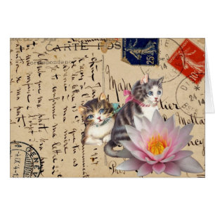 Chats vintages et fleurs