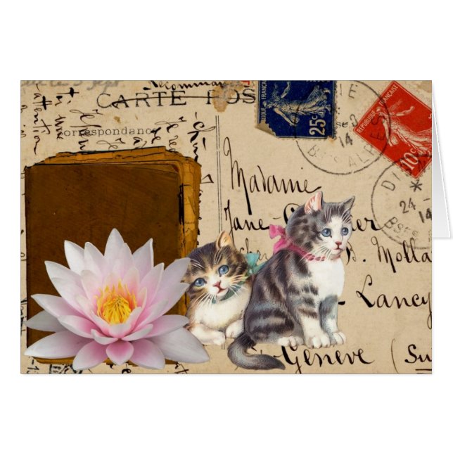 Chats vintages et livre (Devant horizontal)