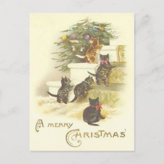 Chats vintages sur la carte postale de Joyeux Noël (Devant)