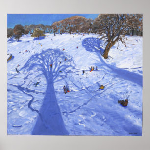 Chatsworth winter tree shadows 2013 poster