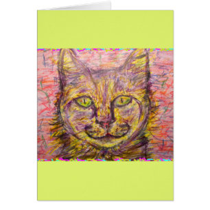 chatte de jour ensoleillé