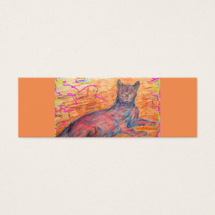 chatte pavé ensoleillé
