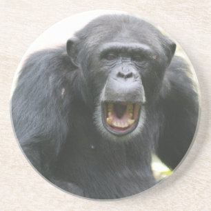 Chatty Chimpanzee Plate Coaster