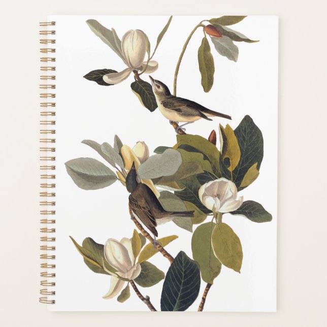 Chauffe-volcans rougeoyer Kingbirds Vintage Audubo (Devant)