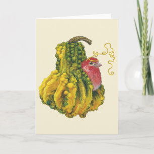 Chauncey the house finch card