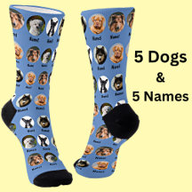 5 Chiens, 5 Noms, Photo Chien - bleu personnalisé