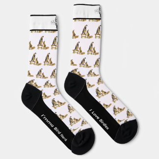 Chaussette Adorable Chaussettes d'oiseaux cailles de Gambel