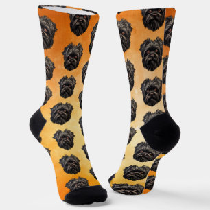 Chaussette Affenpinscher Monkey Dog Affens Terrier