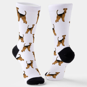Chaussette Airedale Terrier Cute Bingley Terrier Chien Motif