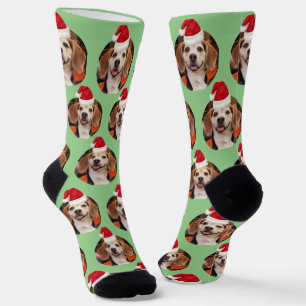 Chaussette Animaux de compagnie Photo Sage Vert Chapeau de Pè