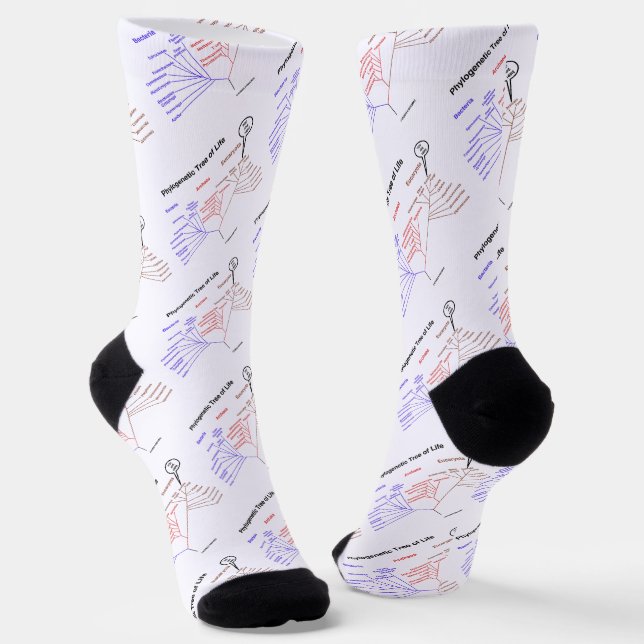 Chaussette Arbre Phylogénétique De La Vie Vous Êtes Ici (Angulaire)