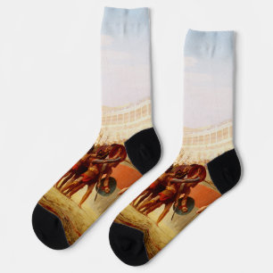 Chaussette Ave Caesar de Jean-Léon Gérôme