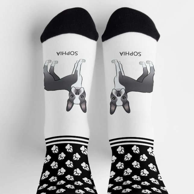 Chaussette Bleu Et Blanc Boston Terrier Avec Nom Et Patrouill (Haut)