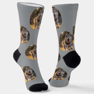 Chaussette Blob de photo personnalisée - Tête de chien Husky