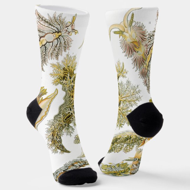 Chaussette Boues de mer par Ernst Haeckel, Nudibranchia Vinta (Angulaire)
