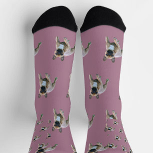 Chaussette Bouledogue français