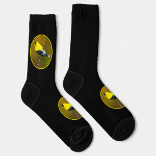 Chaussette Chardonneret jaune américain - Photographie origin