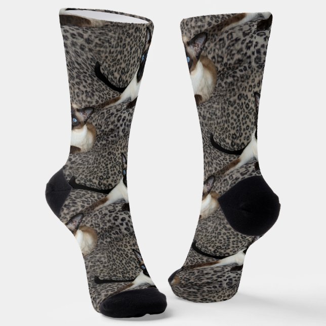 Chaussette Chat de Siamese sur les sites animaux sauvages Emp (Angulaire)