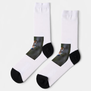 Chaussette Chaussettes 