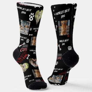 Chaussette Chaussettes avec photo de chien personnalisée - No