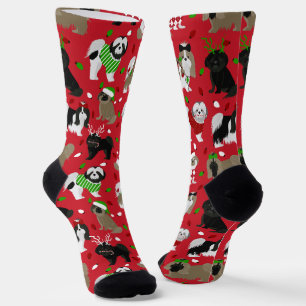 Chaussette Chaussettes Chih Tzu Chiens Noël