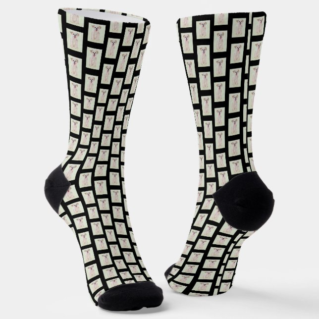 Chaussette Chaussettes d'équipage de chiens morkie (Angulaire)